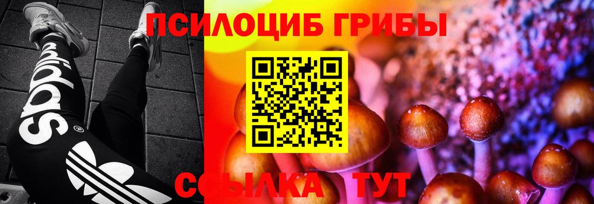 Каменск-Шахтинский  Псилоцибиновые грибы мицелий  Вход с VPN 